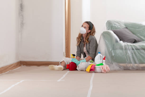 Reliable Black Mold Removal contractor in Hastings, MN by WQB Mold Removal
